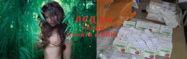 крисы Осинники
