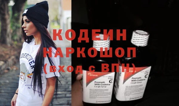 крисы Осинники