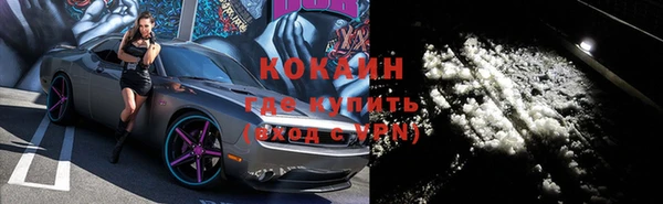 крисы Осинники