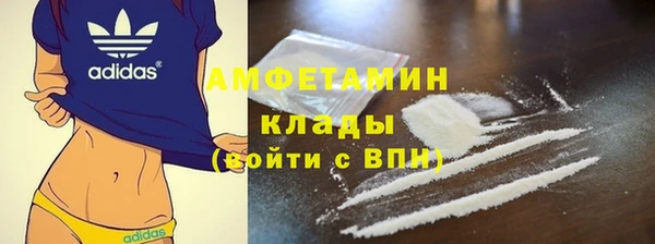крисы Осинники