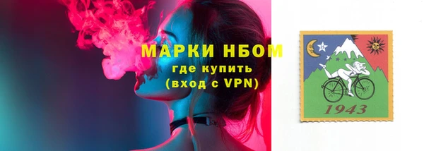 крисы Осинники