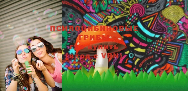 крисы Осинники