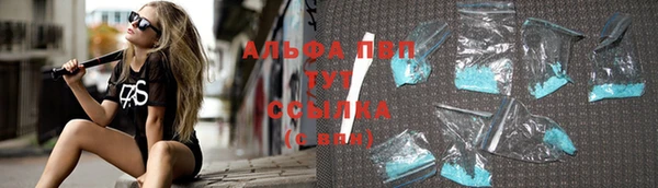 крисы Осинники
