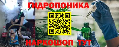 шишки Чебаркуль