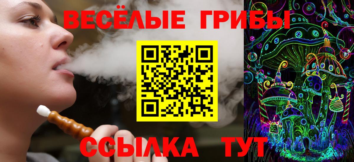 Павловский Посад  Псилоцибиновые грибы MAGIC MUSHROOMS  Вход с VPN 