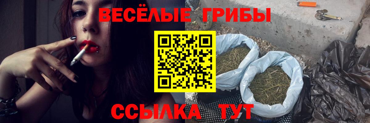 Псилоцибиновые грибы Cubensis Павловский Посад